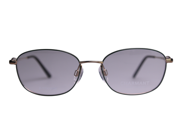 Charmant Titan Fassung CH29831 GN
