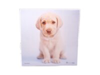 Mikrofasertuch "Hund mit Perlenkette"...