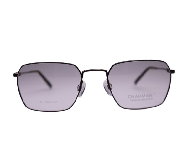 Charmant Titan Fassung CH29725 BR