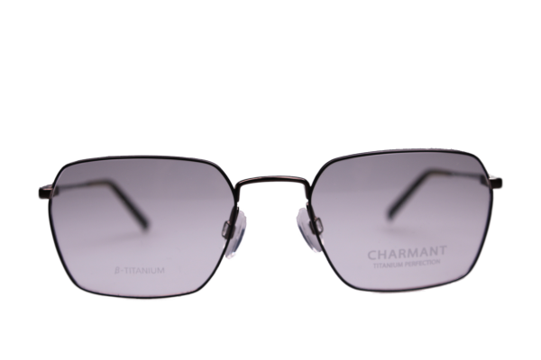 Charmant Titan Fassung CH29725 BR