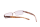 IMAGO Brillenfassung GARAF