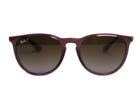 Ray Ban Sonnebrille RB4171 6593T5