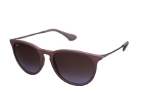 Ray Ban Sonnebrille RB4171 6000/68