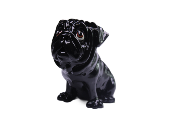 Brillennase "Brillenhund Mops"