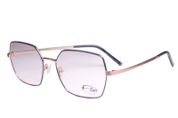 FLAIR Brillenfassung 2015 300