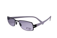 FLAIR Brillenfassung 489 309