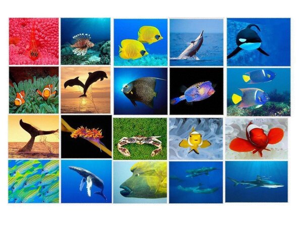 Fische