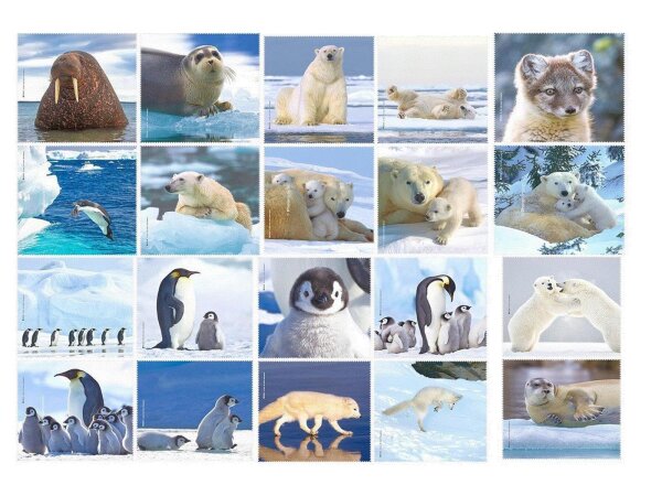 Polar